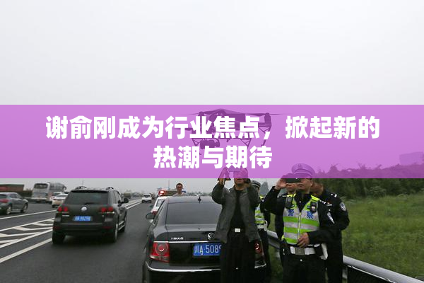 谢俞刚成为行业焦点，掀起新的热潮与期待