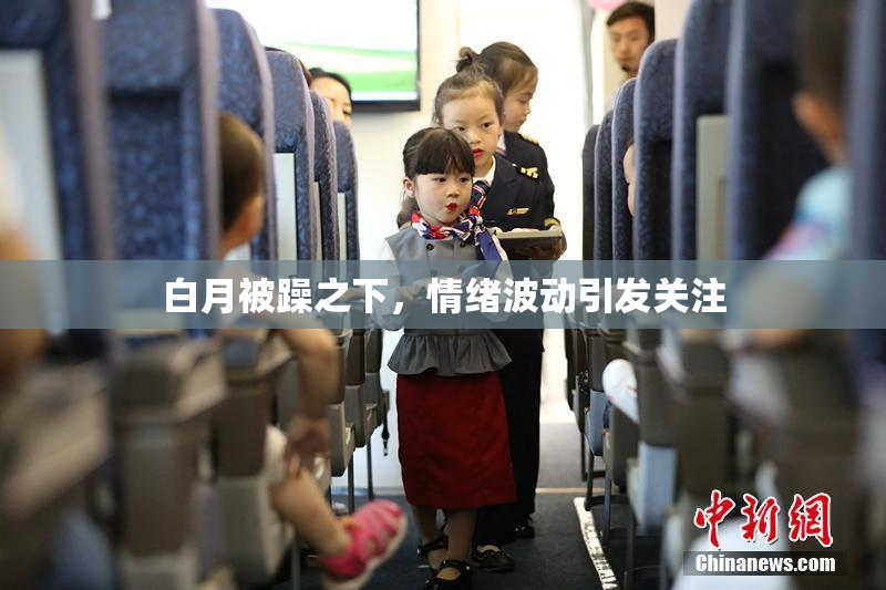 白月被躁之下，情绪波动引发关注