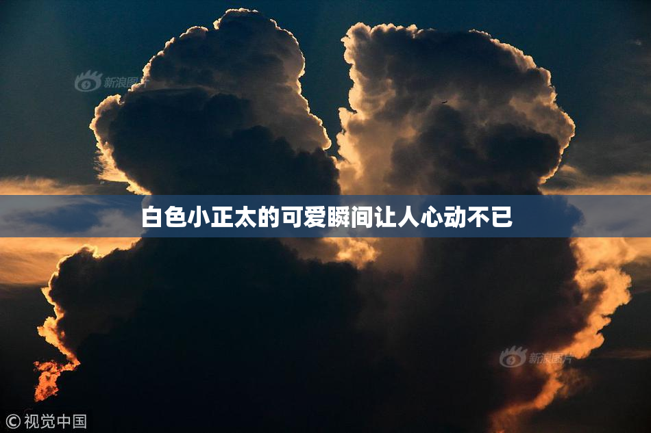 白色小正太的可爱瞬间让人心动不已