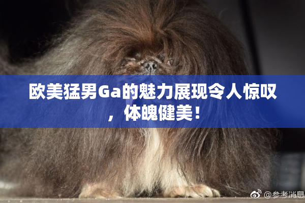 欧美猛男Ga的魅力展现令人惊叹，体魄健美！