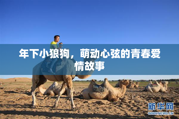 年下小狼狗，萌动心弦的青春爱情故事