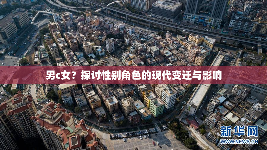男c女？探讨性别角色的现代变迁与影响