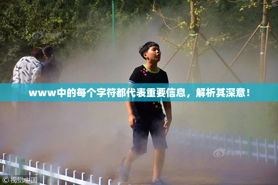 www中的每个字符都代表重要信息，解析其深意！