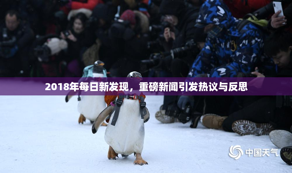 2018年每日新发现，重磅新闻引发热议与反思
