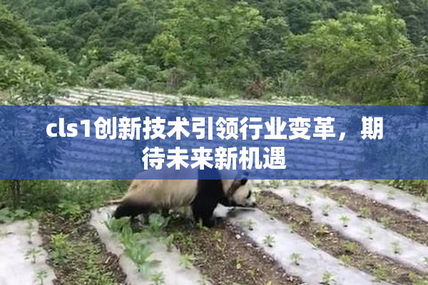 cls1创新技术引领行业变革，期待未来新机遇