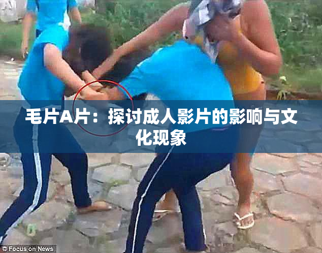 毛片A片：探讨成人影片的影响与文化现象