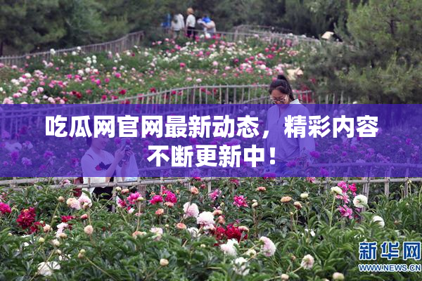 吃瓜网官网最新动态，精彩内容不断更新中！