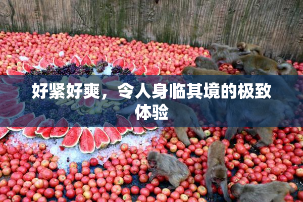 好紧好爽，令人身临其境的极致体验