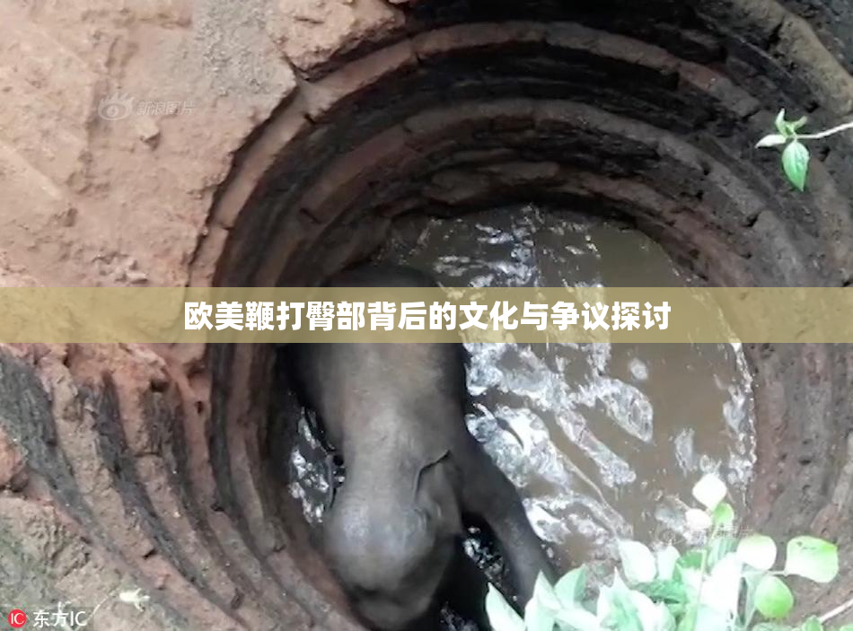 欧美鞭打臀部背后的文化与争议探讨