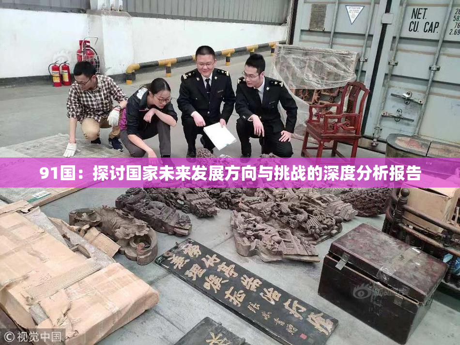 91国：探讨国家未来发展方向与挑战的深度分析报告