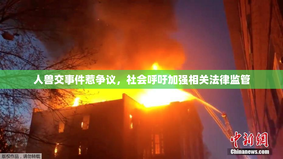 人兽交事件惹争议，社会呼吁加强相关法律监管