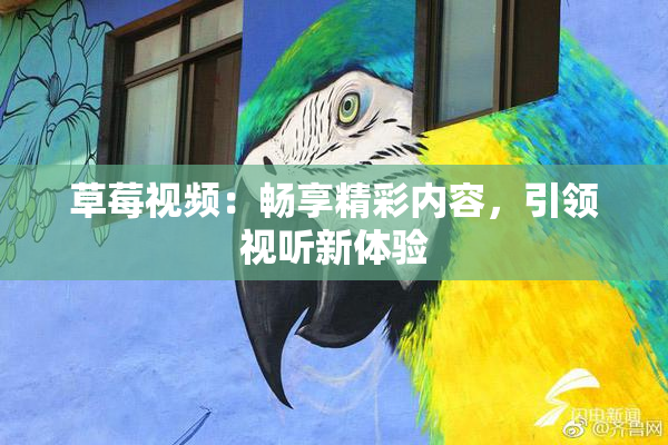 草莓视频：畅享精彩内容，引领视听新体验