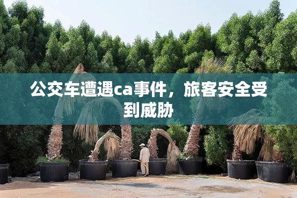 公交车遭遇ca事件，旅客安全受到威胁