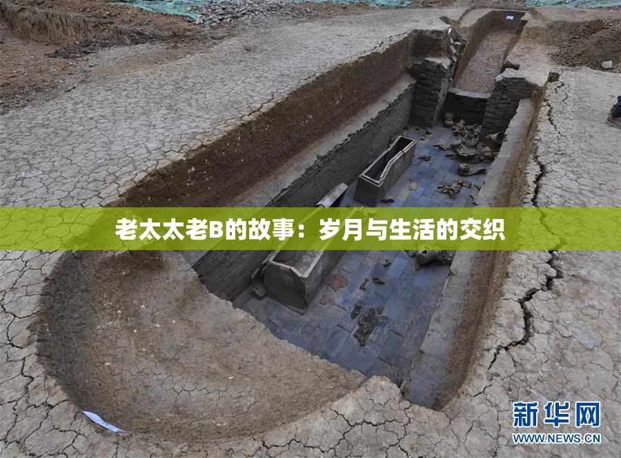 老太太老B的故事：岁月与生活的交织