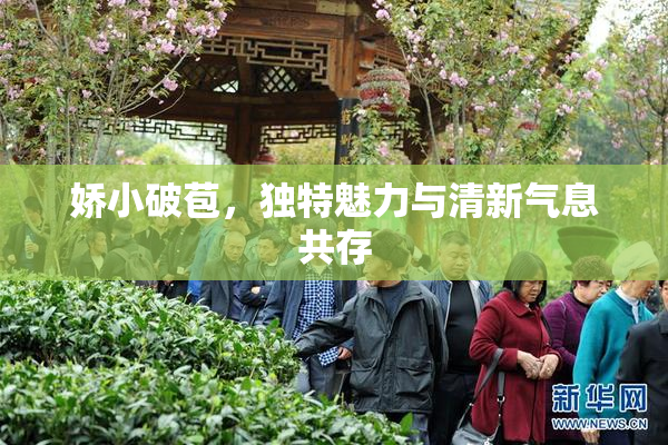 娇小破苞，独特魅力与清新气息共存