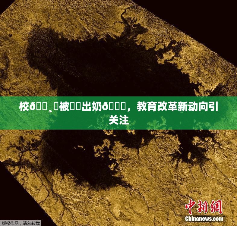 校🌸‌被❌‌出奶🔞，教育改革新动向引关注