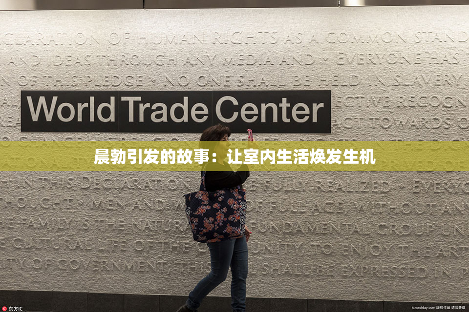 晨勃引发的故事：让室内生活焕发生机