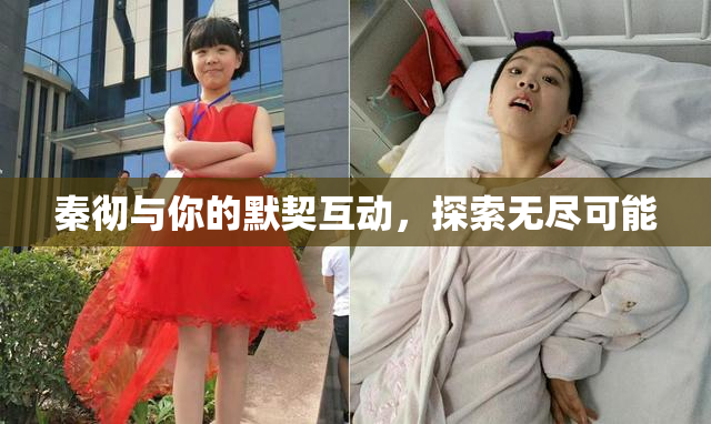 秦彻与你的默契互动，探索无尽可能
