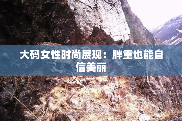 大码女性时尚展现：胖重也能自信美丽