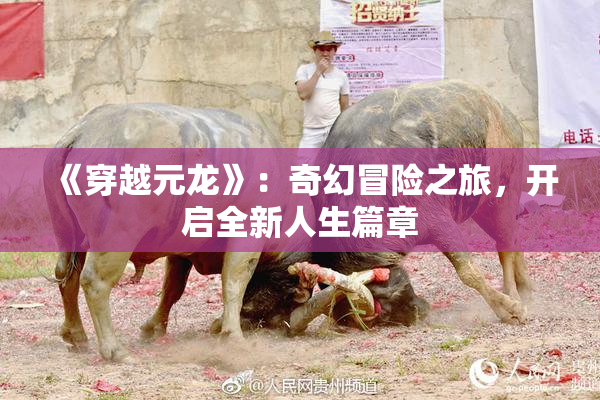 《穿越元龙》：奇幻冒险之旅，开启全新人生篇章