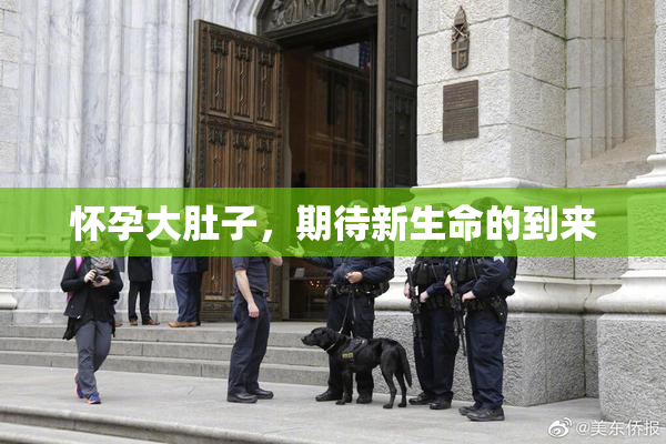 怀孕大肚子，期待新生命的到来
