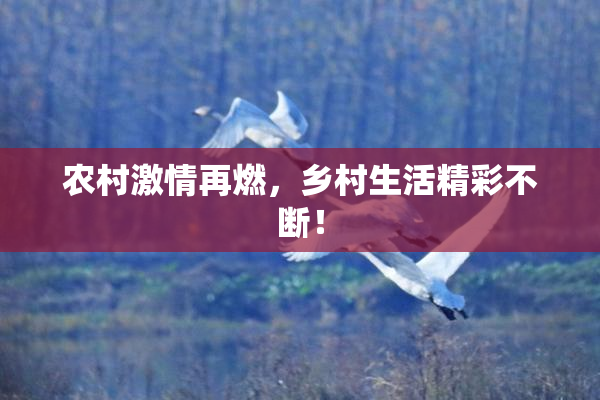 农村激情再燃，乡村生活精彩不断！