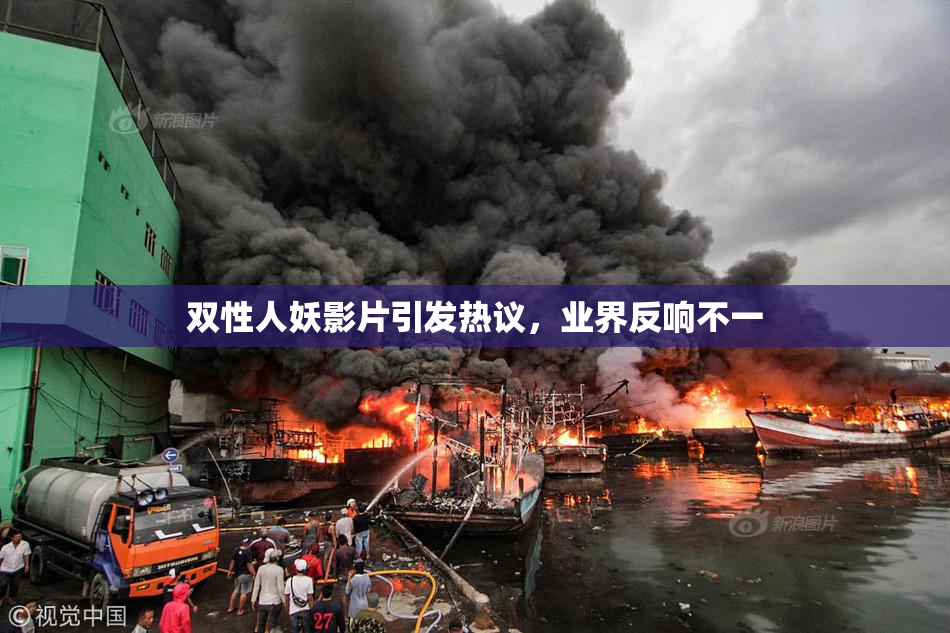 双性人妖影片引发热议，业界反响不一