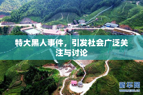 特大黑人事件，引发社会广泛关注与讨论