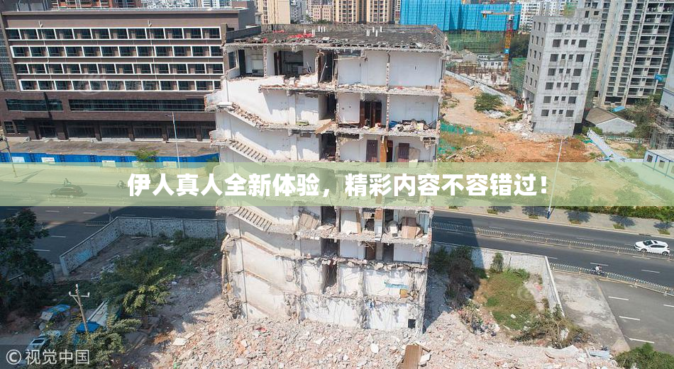 伊人真人全新体验，精彩内容不容错过！