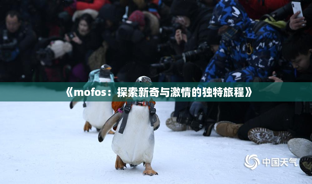 《mofos：探索新奇与激情的独特旅程》