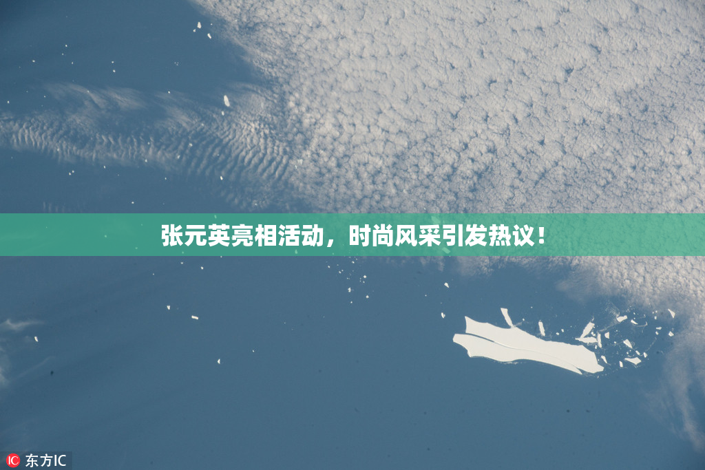张元英亮相活动，时尚风采引发热议！