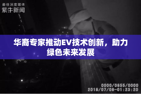 华裔专家推动EV技术创新，助力绿色未来发展