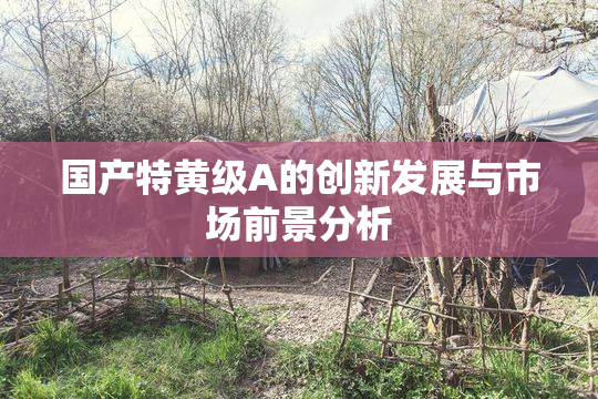 国产特黄级A的创新发展与市场前景分析