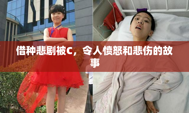 借种悲剧被C，令人愤怒和悲伤的故事