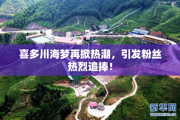喜多川海梦再掀热潮，引发粉丝热烈追捧！