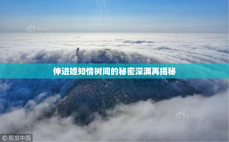 伸进妲知情树间的秘密深渊再揭秘