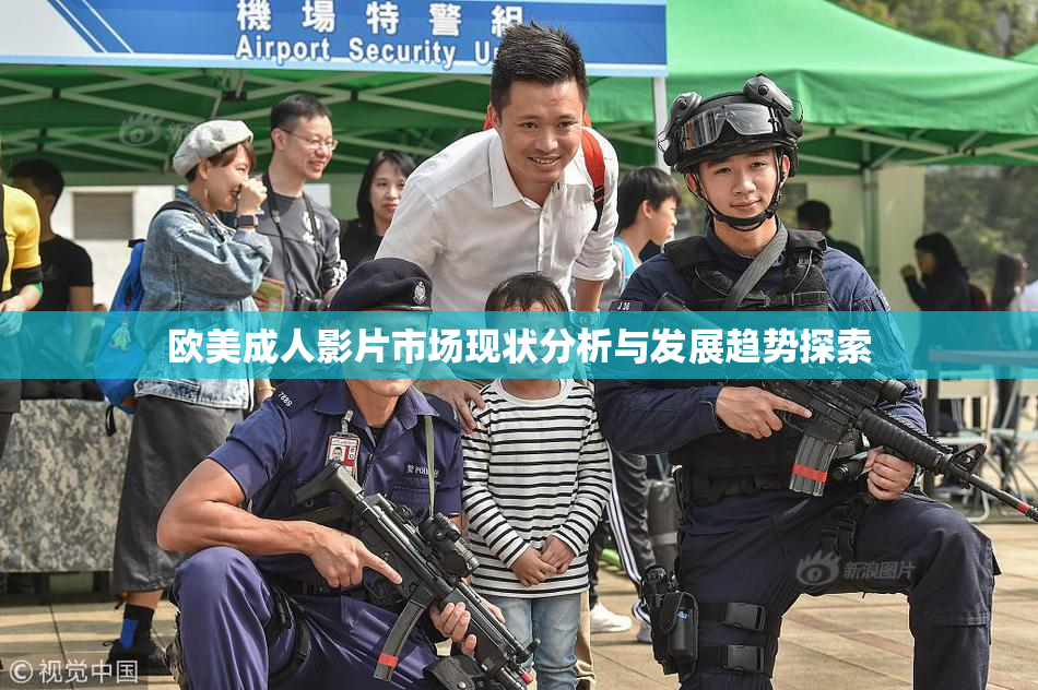 欧美成人影片市场现状分析与发展趋势探索