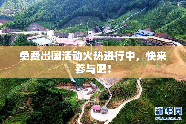 免费出国活动火热进行中，快来参与吧！