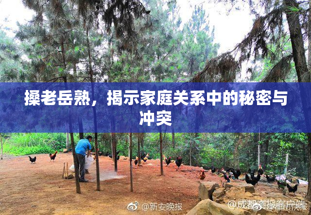 搡老岳熟，揭示家庭关系中的秘密与冲突