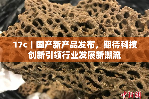 17c丨国产新产品发布，期待科技创新引领行业发展新潮流