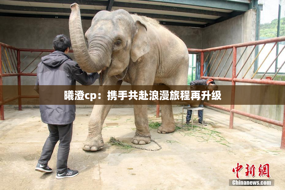 曦澄cp：携手共赴浪漫旅程再升级