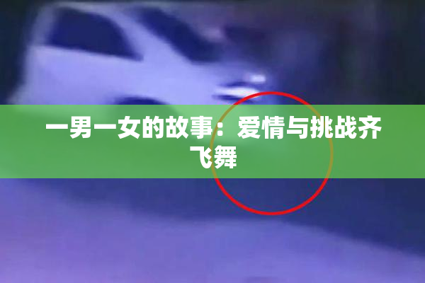 一男一女的故事：爱情与挑战齐飞舞