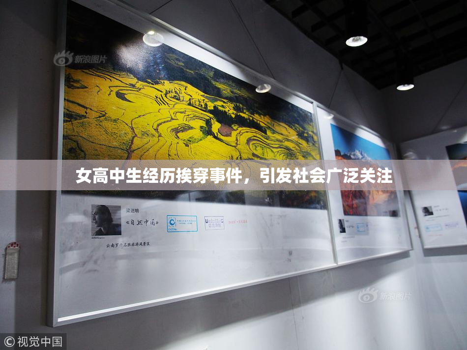 女高中生经历挨穿事件，引发社会广泛关注