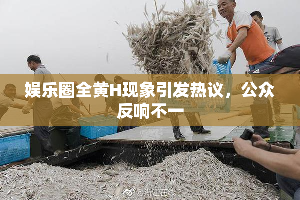 娱乐圈全黄H现象引发热议，公众反响不一
