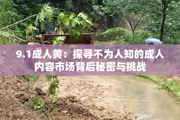 9.1成人黄：探寻不为人知的成人内容市场背后秘密与挑战