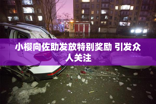 小樱向佐助发放特别奖励 引发众人关注