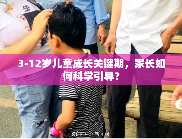 3-12岁儿童成长关键期，家长如何科学引导？