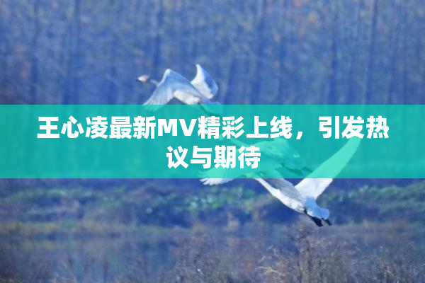 王心凌最新MV精彩上线，引发热议与期待