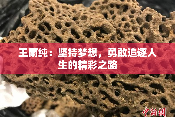王雨纯：坚持梦想，勇敢追逐人生的精彩之路