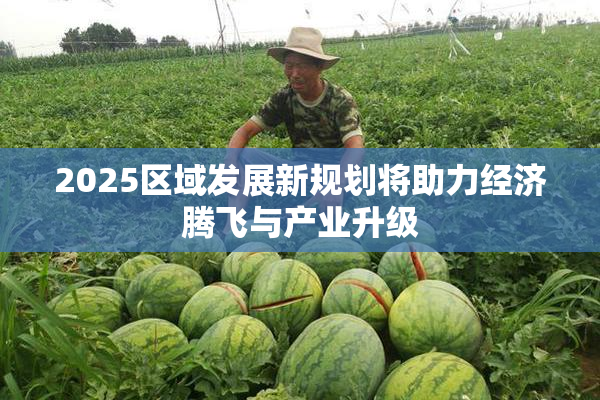 2025区域发展新规划将助力经济腾飞与产业升级